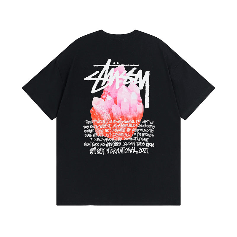 stussy t-shirt