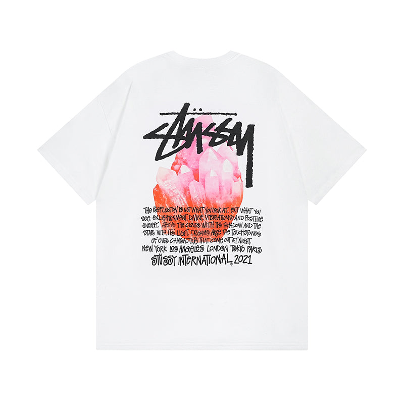 stussy t-shirt